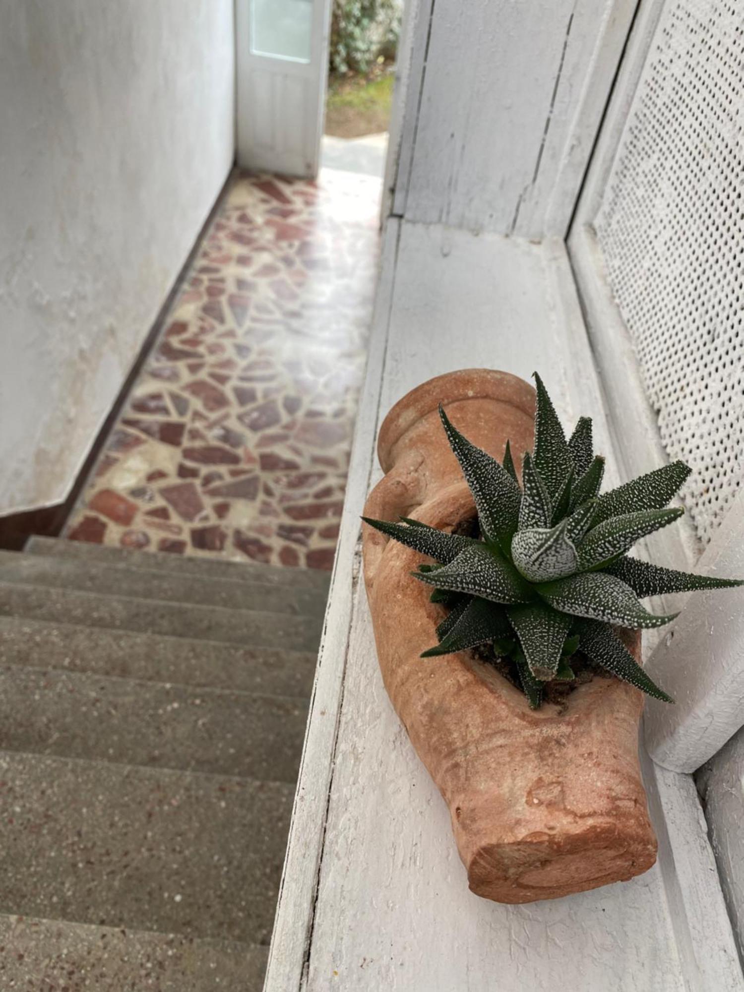 Vila Llulla Krujë Extérieur photo